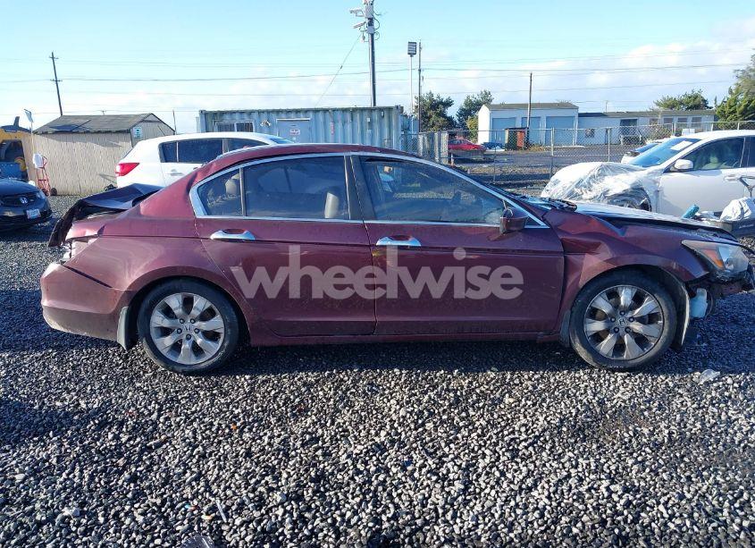 Photo 14 of 2009 Honda Accord 3.5 EX-L (VIN 1HGCP36849A051629)