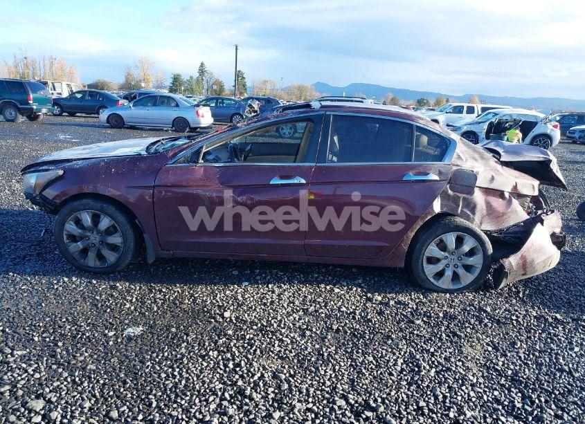 Photo 15 of 2009 Honda Accord 3.5 EX-L (VIN 1HGCP36849A051629)