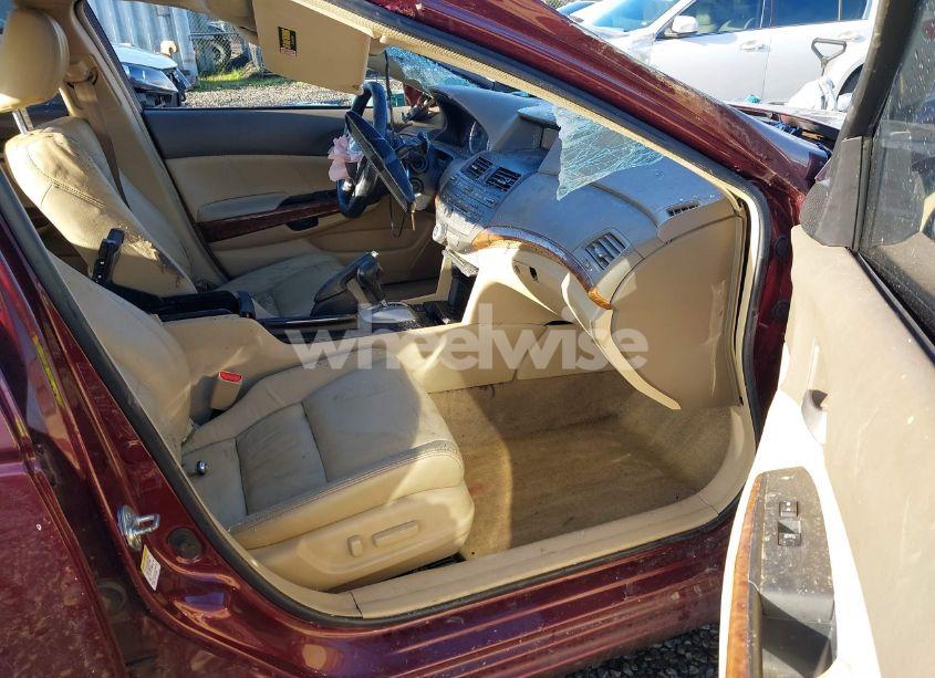 Photo 5 of 2009 Honda Accord 3.5 EX-L (VIN 1HGCP36849A051629)