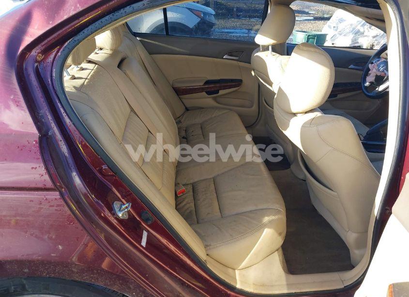 Photo 8 of 2009 Honda Accord 3.5 EX-L (VIN 1HGCP36849A051629)