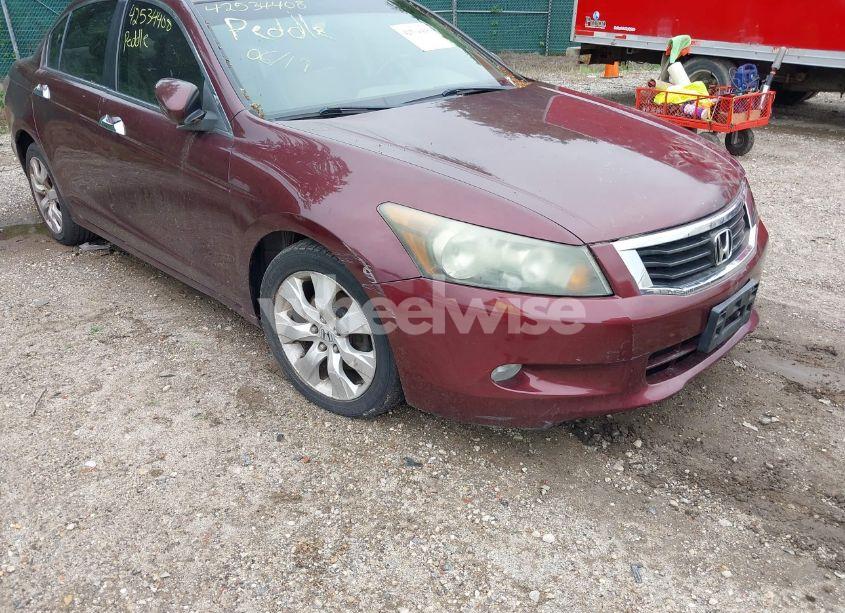 Photo 13 of 2008 Honda Accord 3.5 EX-L (VIN 1HGCP36858A030643)