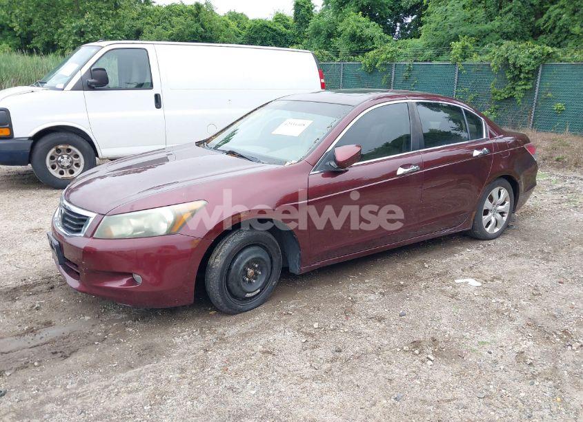 Photo 2 of 2008 Honda Accord 3.5 EX-L (VIN 1HGCP36858A030643)
