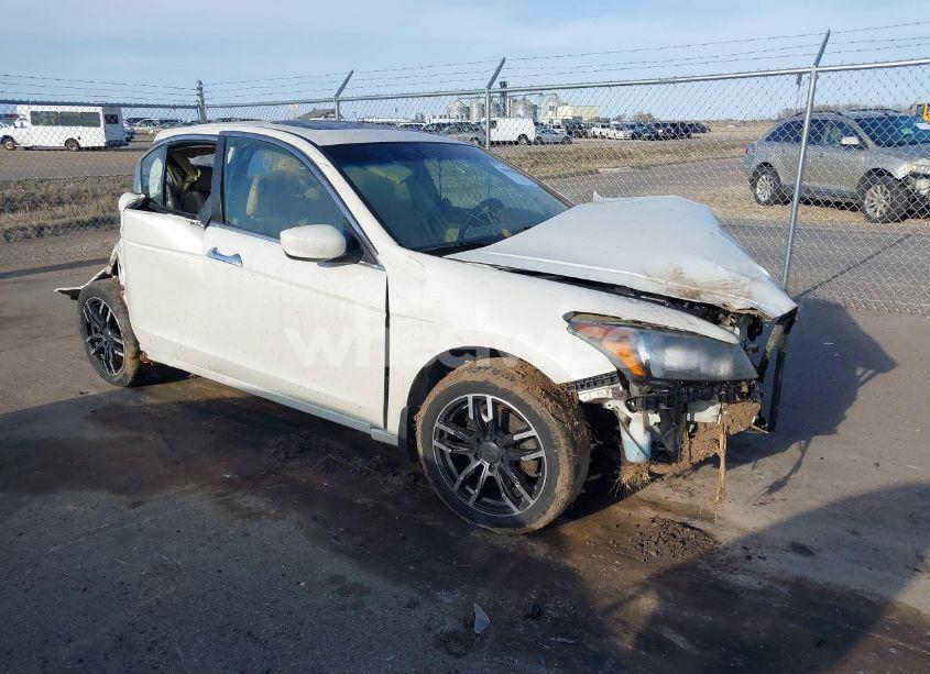 2008 Honda Accord 3.5 EX-L (VIN 1HGCP36858A031839) main photo