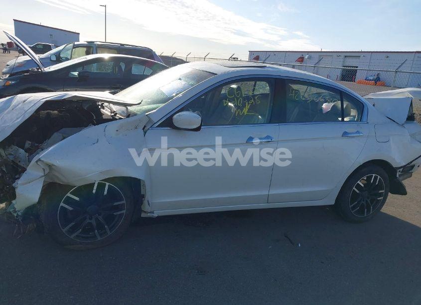 Photo 14 of 2008 Honda Accord 3.5 EX-L (VIN 1HGCP36858A031839)