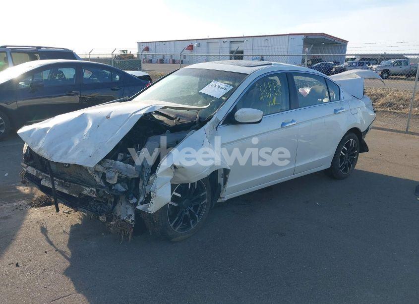 Photo 2 of 2008 Honda Accord 3.5 EX-L (VIN 1HGCP36858A031839)