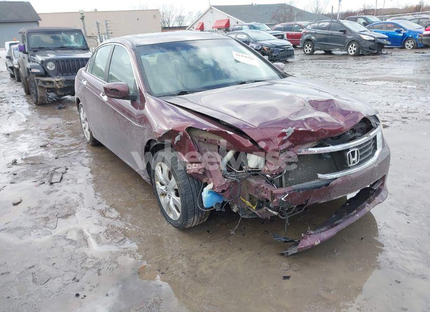 2008 Honda Accord 3.5 EX-L (VIN 1HGCP36858A036393) main photo