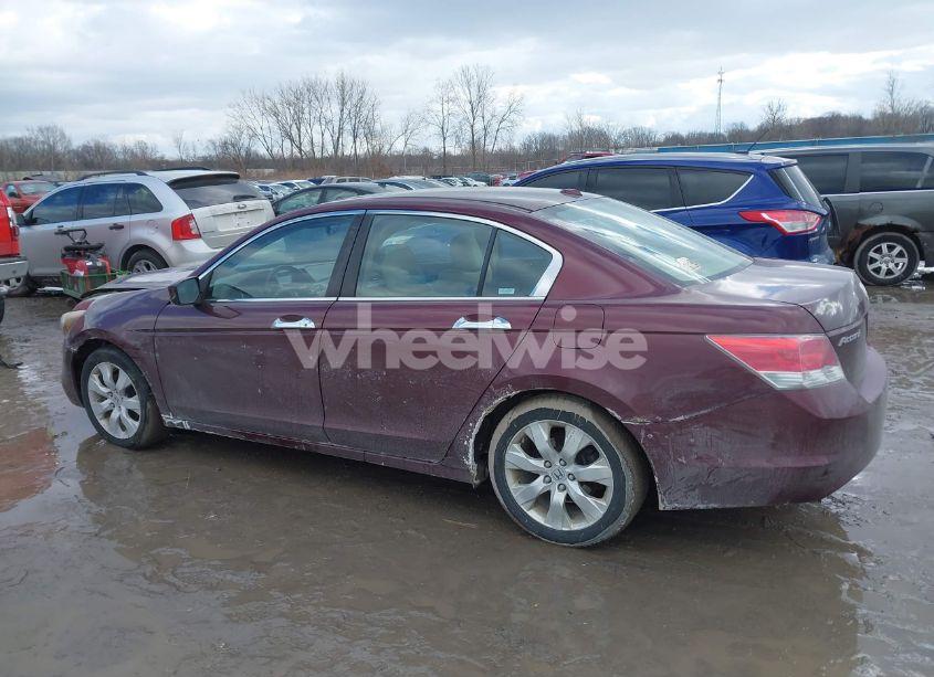 Photo 14 of 2008 Honda Accord 3.5 EX-L (VIN 1HGCP36858A036393)