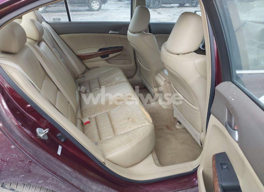 Photo 8 of 2008 Honda Accord 3.5 EX-L (VIN 1HGCP36858A036393)