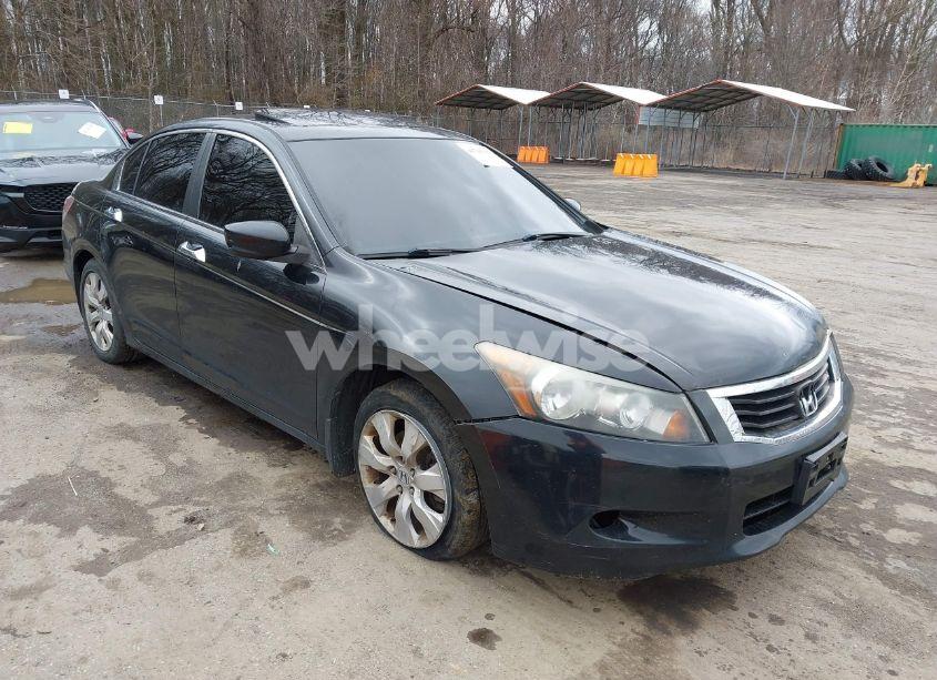 2008 Honda Accord 3.5 EX-L (VIN 1HGCP36858A073802) main photo