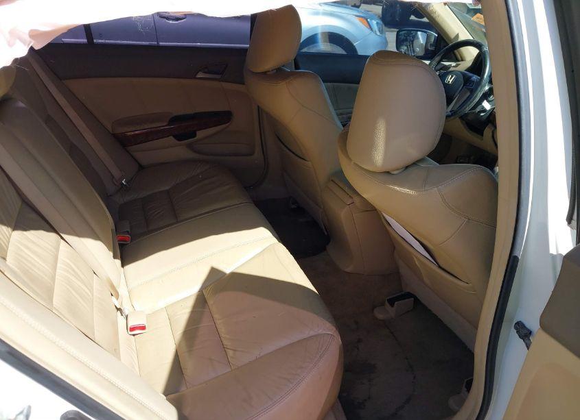 Photo 8 of 2008 Honda Accord 3.5 EX-L (VIN 1HGCP36858A080653)