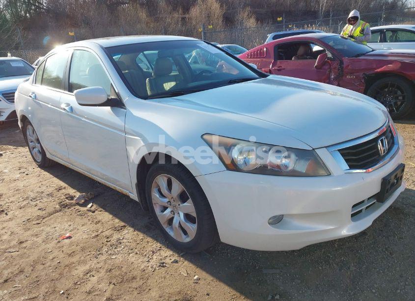 2009 Honda Accord 3.5 EX-L (VIN 1HGCP36859A030546) main photo