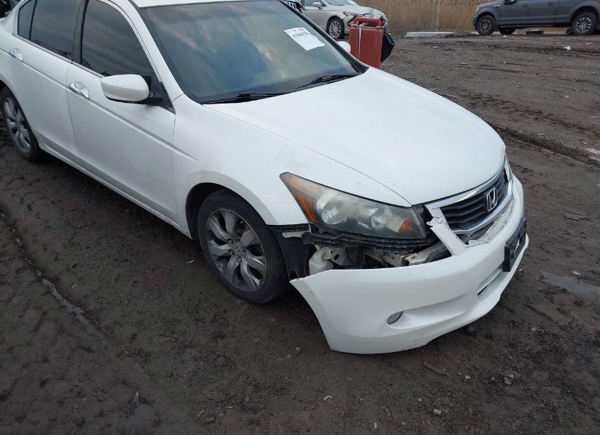 2009 Honda Accord 3.5 EX-L (VIN 1HGCP36859A034791) main photo