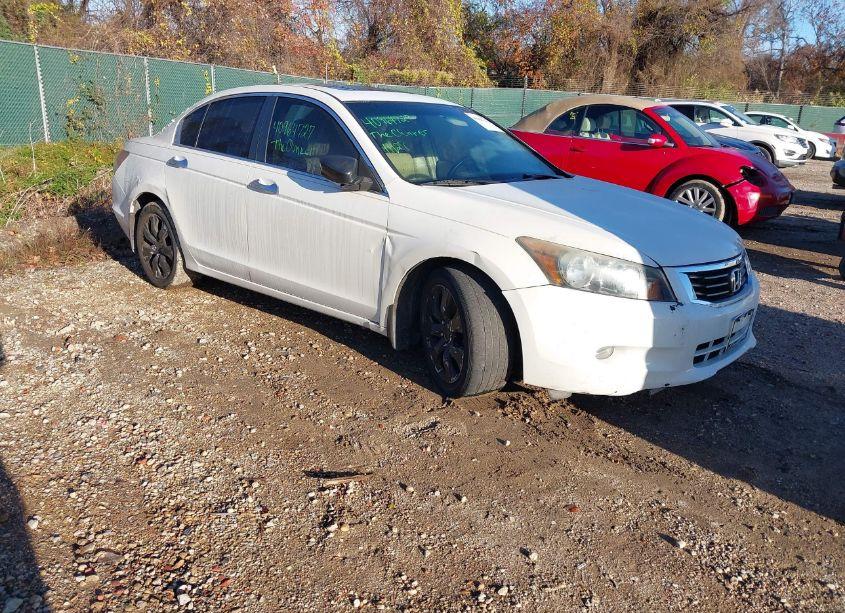2009 Honda Accord 3.5 EX-L (VIN 1HGCP36859A046634) main photo
