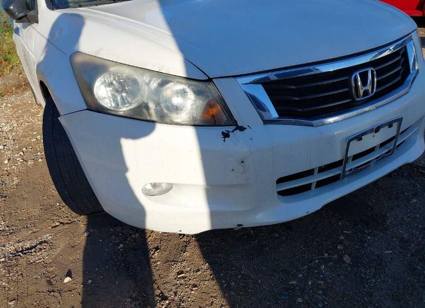 Photo 14 of 2009 Honda Accord 3.5 EX-L (VIN 1HGCP36859A046634)