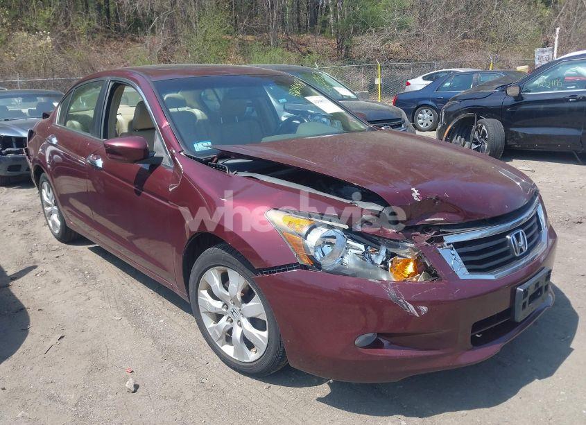 2009 Honda Accord 3.5 EX-L (VIN 1HGCP36859A051445) main photo