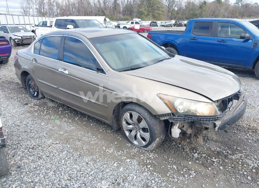 2008 Honda Accord 3.5 EX-L (VIN 1HGCP36868A005038) main photo