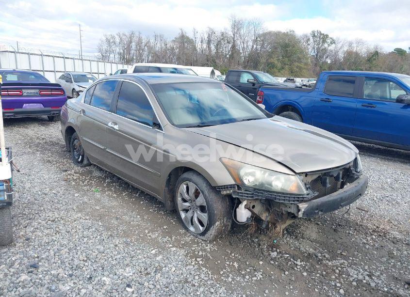 Photo 6 of 2008 Honda Accord 3.5 EX-L (VIN 1HGCP36868A005038)