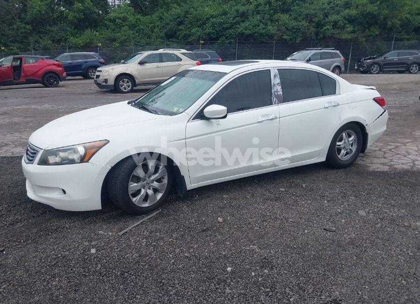 Photo 2 of 2008 Honda Accord 3.5 EX-L (VIN 1HGCP36868A027119)