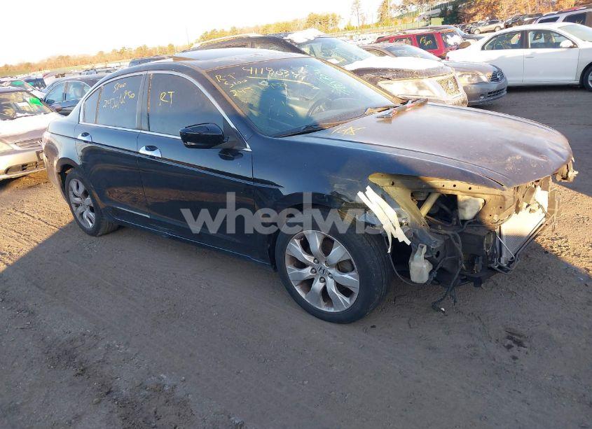 2008 Honda Accord 3.5 EX-L (VIN 1HGCP36868A036189) main photo