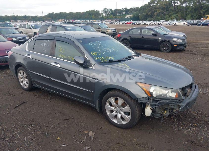 2008 Honda Accord 3.5 EX-L (VIN 1HGCP36868A050142) main photo