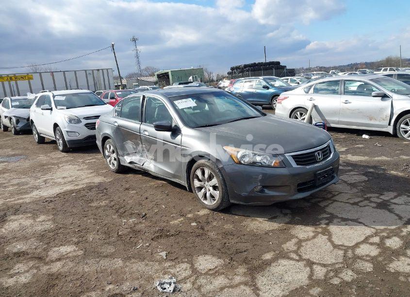 2008 Honda Accord 3.5 EX-L (VIN 1HGCP36868A058340) main photo