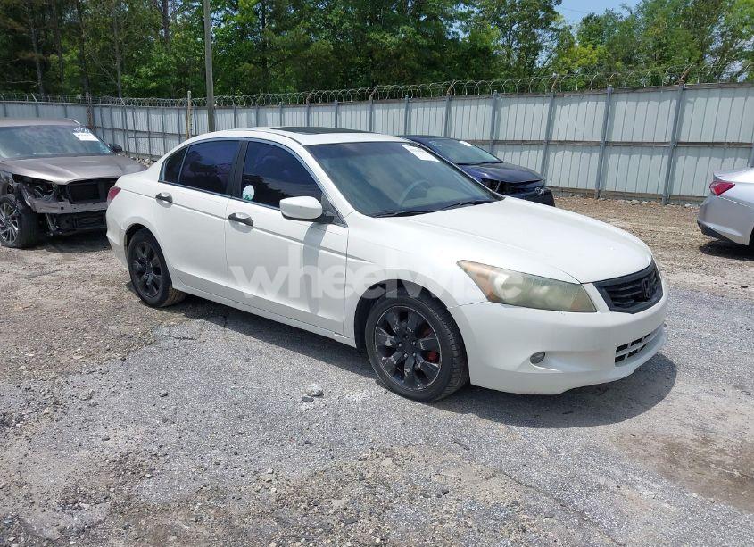 2008 Honda Accord 3.5 EX-L (VIN 1HGCP36868A066955) main photo