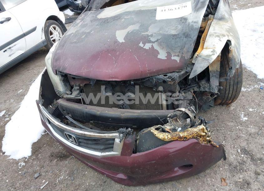 Photo 6 of 2008 Honda Accord 3.5 EX-L (VIN 1HGCP36868A076773)