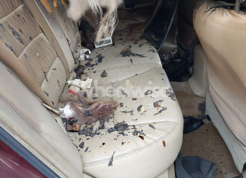 Photo 8 of 2008 Honda Accord 3.5 EX-L (VIN 1HGCP36868A076773)