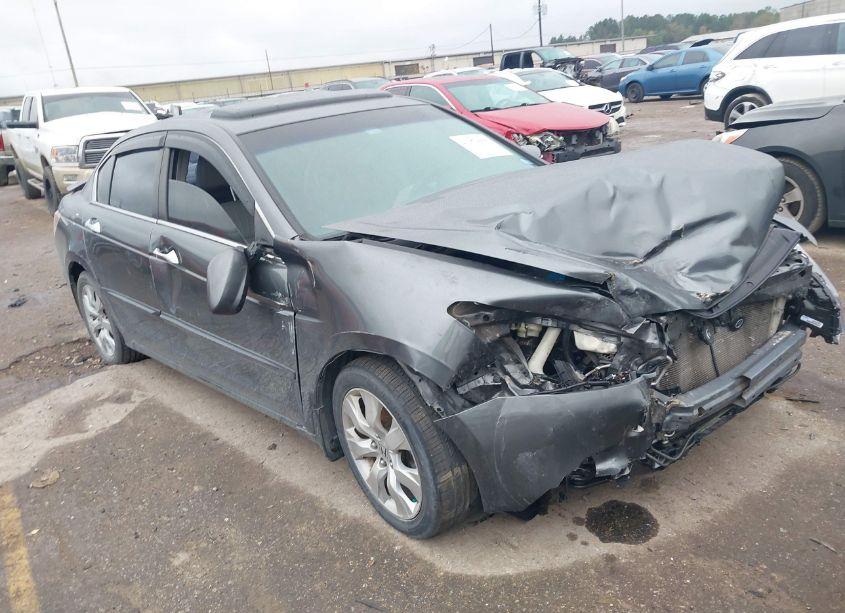 2008 Honda Accord 3.5 EX-L (VIN 1HGCP36868A080502) main photo