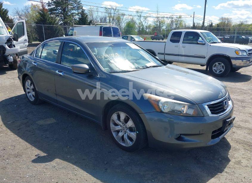 2009 Honda Accord 3.5 EX-L (VIN 1HGCP36869A025291) main photo