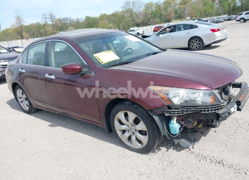 2008 Honda Accord 3.5 EX-L (VIN 1HGCP36878A039571) main photo