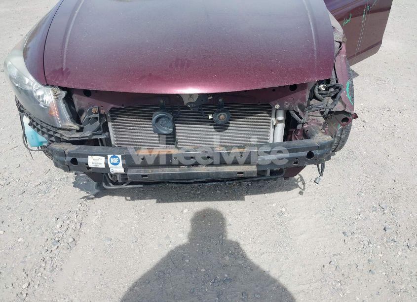 Photo 6 of 2008 Honda Accord 3.5 EX-L (VIN 1HGCP36878A039571)