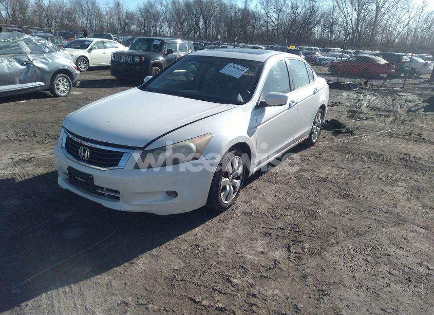 Photo 2 of 2008 Honda Accord 3.5 EX-L (VIN 1HGCP36878A041031)