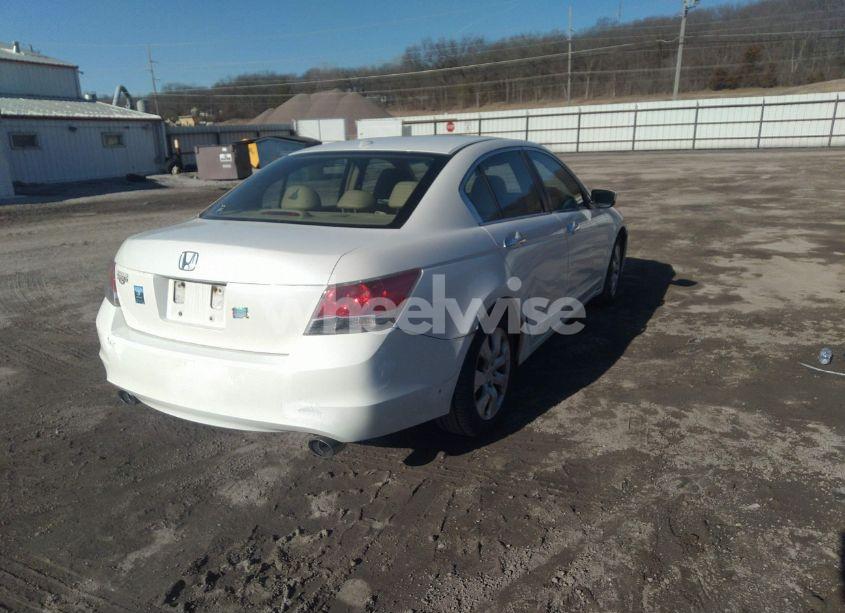 Photo 4 of 2008 Honda Accord 3.5 EX-L (VIN 1HGCP36878A041031)