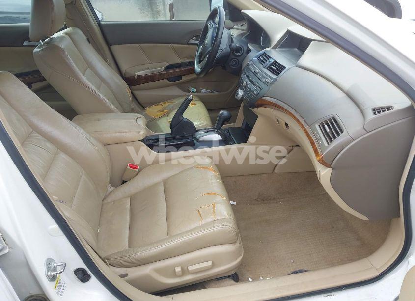 Photo 5 of 2008 Honda Accord 3.5 EX-L (VIN 1HGCP36878A059920)