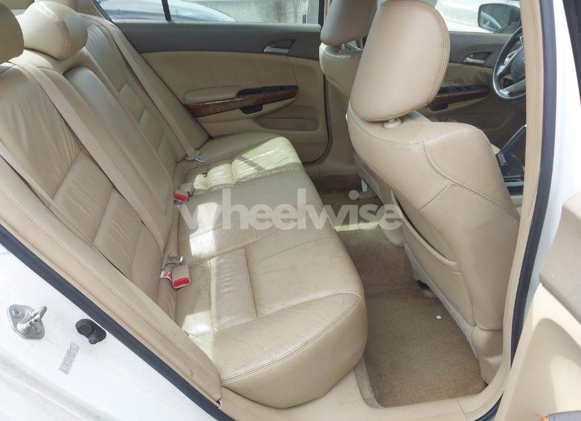 Photo 8 of 2008 Honda Accord 3.5 EX-L (VIN 1HGCP36878A059920)