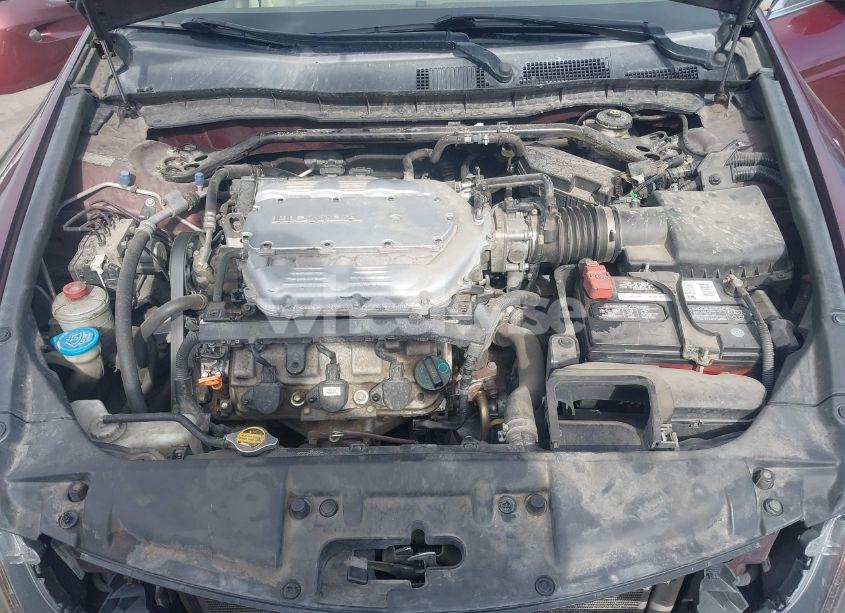 Photo 10 of 2008 Honda Accord 3.5 EX-L (VIN 1HGCP36878A077138)