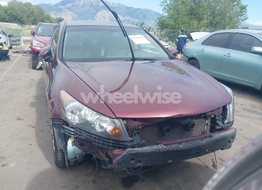 Photo 13 of 2008 Honda Accord 3.5 EX-L (VIN 1HGCP36878A077138)