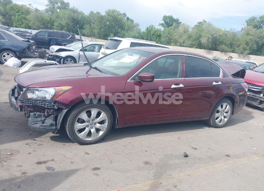 Photo 15 of 2008 Honda Accord 3.5 EX-L (VIN 1HGCP36878A077138)