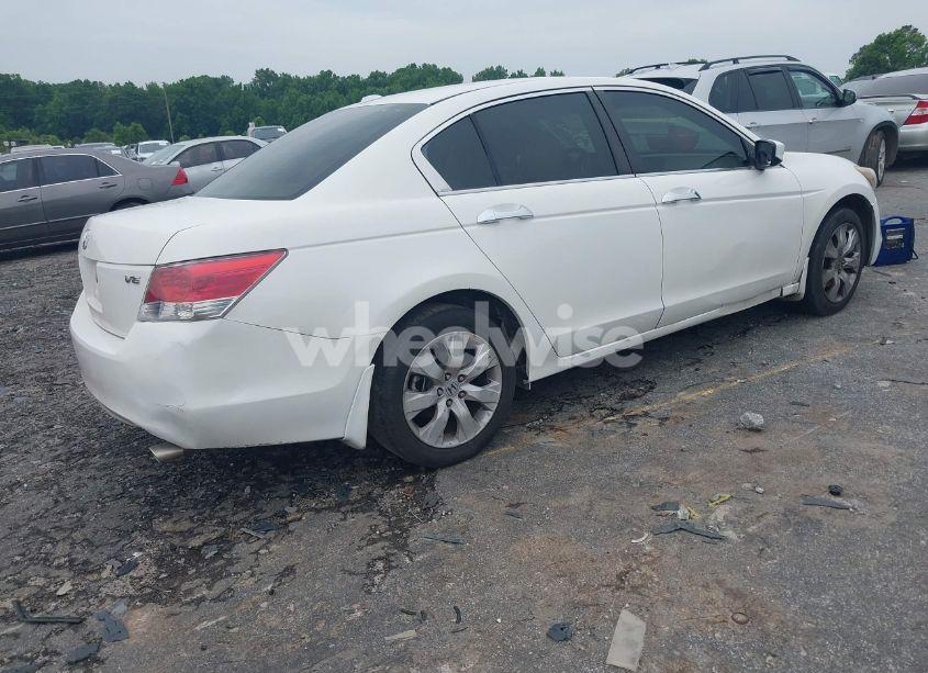 Photo 4 of 2008 Honda Accord 3.5 EX-L (VIN 1HGCP36878A077463)