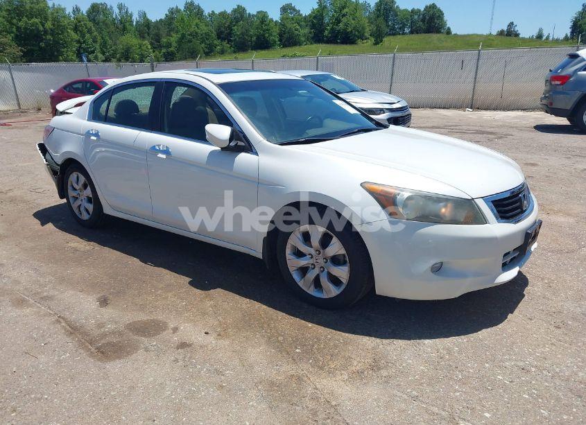 2008 Honda Accord 3.5 EX-L (VIN 1HGCP36878A083554) main photo