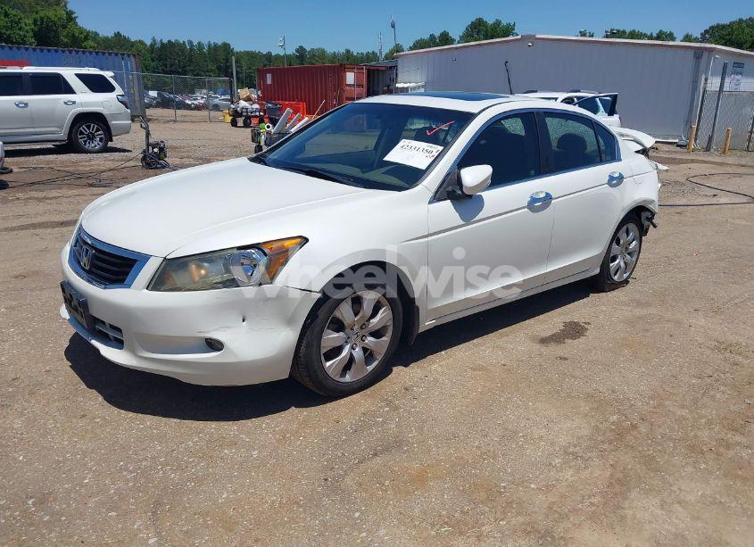 Photo 2 of 2008 Honda Accord 3.5 EX-L (VIN 1HGCP36878A083554)