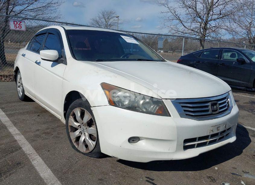 2008 Honda Accord 3.5 EX-L (VIN 1HGCP36888A004621) main photo