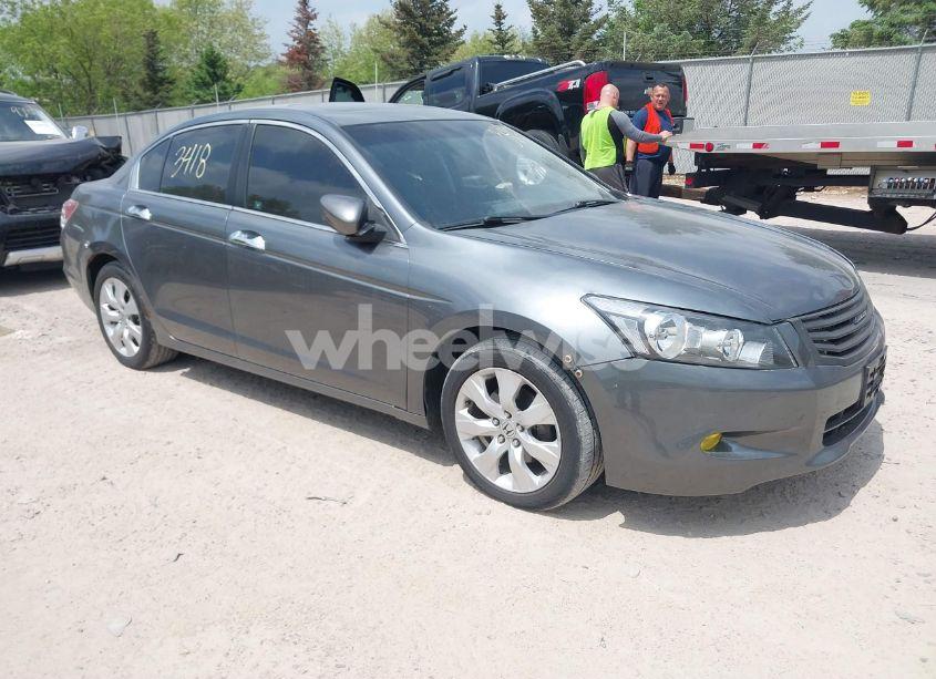 2008 Honda Accord 3.5 EX-L (VIN 1HGCP36888A034377) main photo