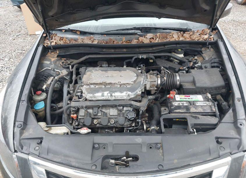 Photo 10 of 2008 Honda Accord 3.5 EX-L (VIN 1HGCP36888A050711)