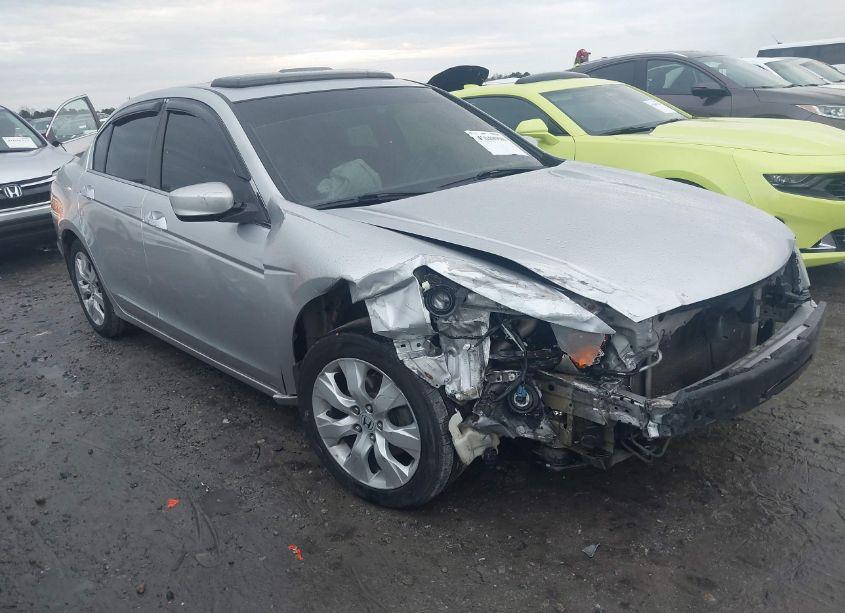 2008 Honda Accord 3.5 EX-L (VIN 1HGCP36888A055505) main photo