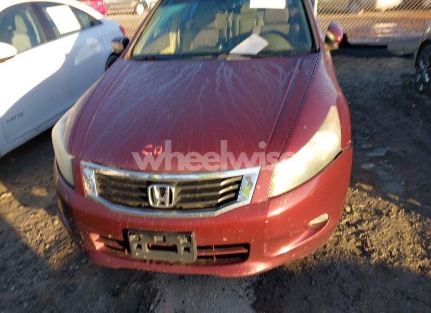 Photo 6 of 2008 Honda Accord 3.5 EX-L (VIN 1HGCP36888A075592)