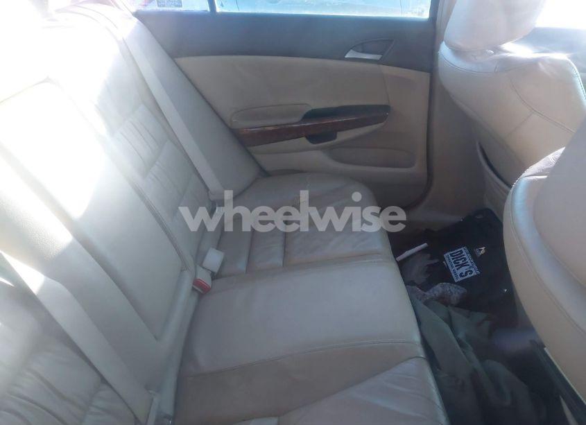 Photo 8 of 2008 Honda Accord 3.5 EX-L (VIN 1HGCP36888A075592)