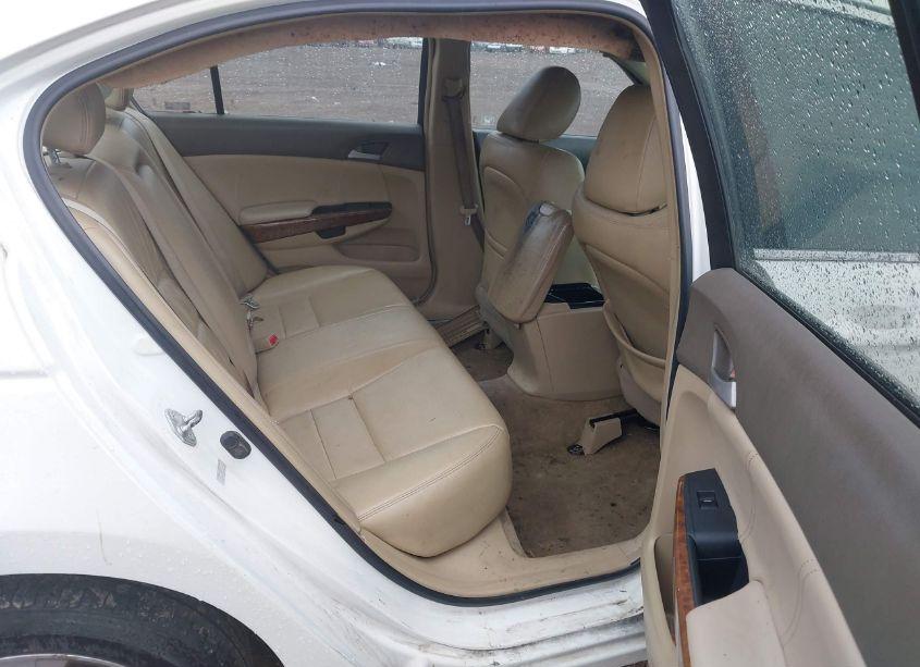 Photo 8 of 2009 Honda Accord 3.5 EX-L (VIN 1HGCP36889A008833)