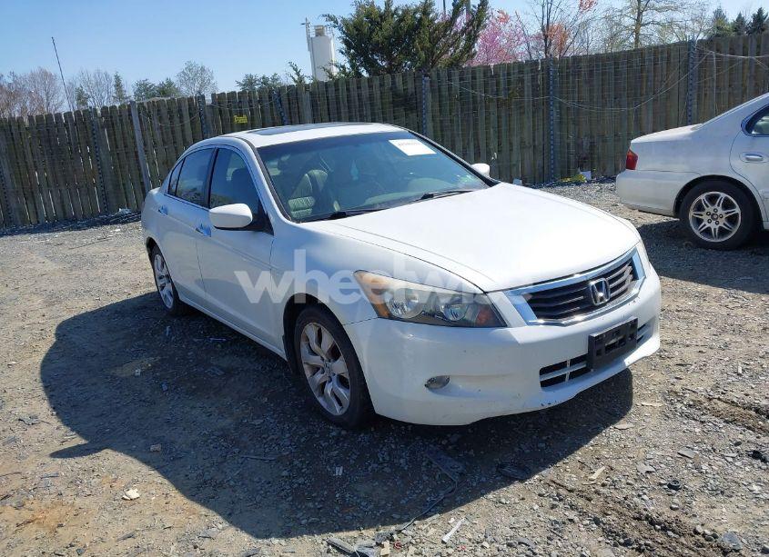 2009 Honda Accord 3.5 EX-L (VIN 1HGCP36889A032758) main photo